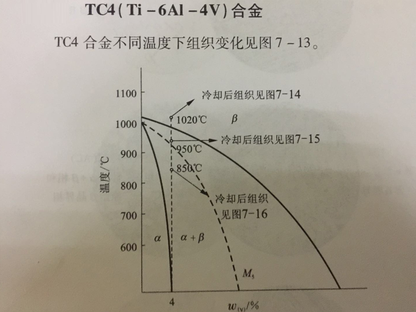 1520842874817869.jpg 7-13.jpg