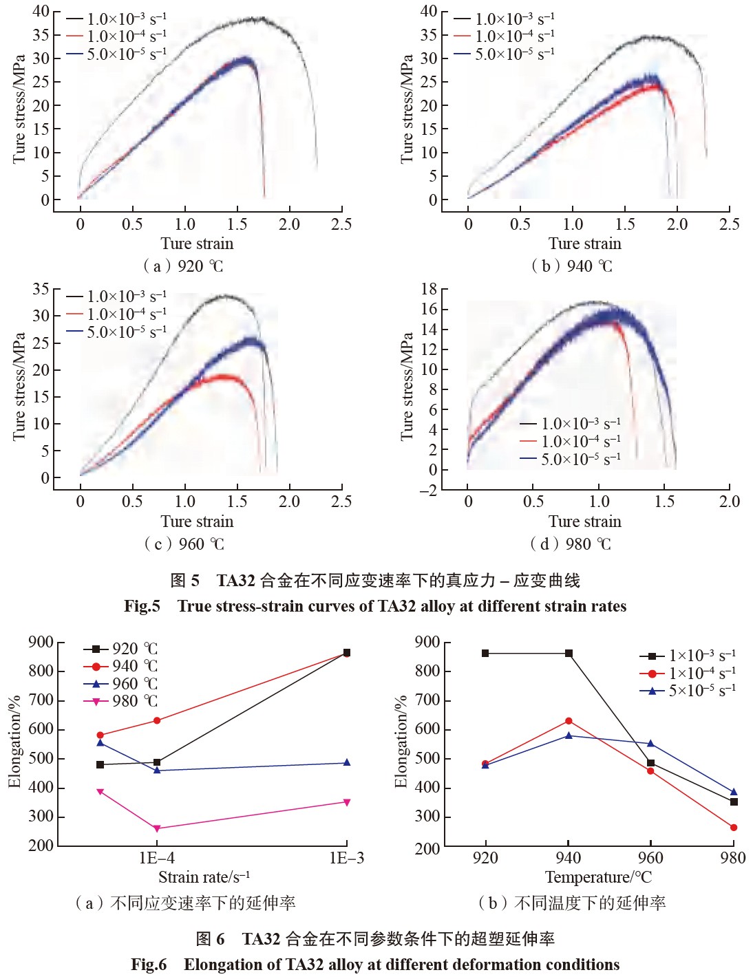 1683450799442996.jpg t5-6.jpg