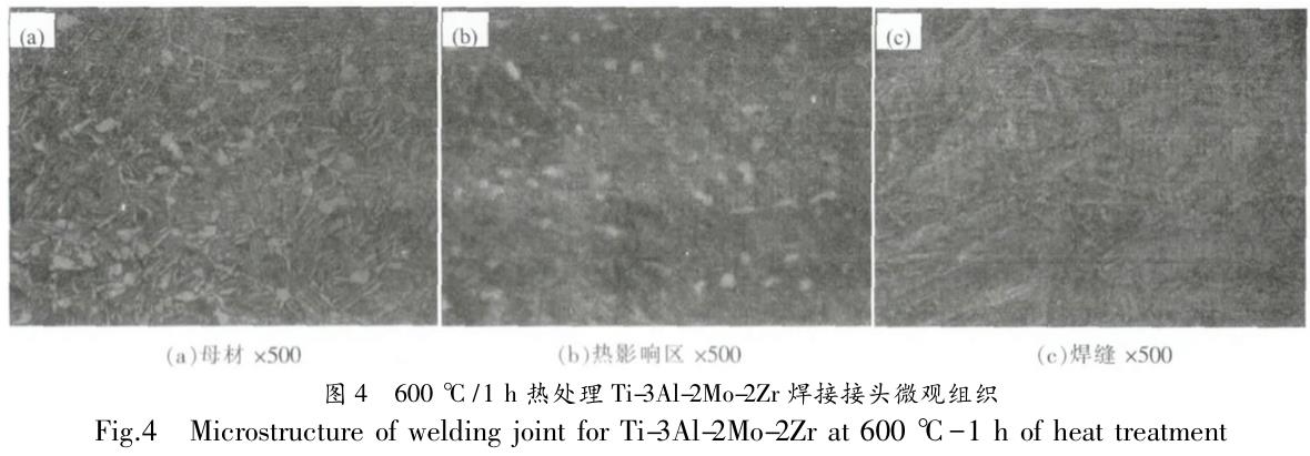 1706307859562265.jpg t4.jpg