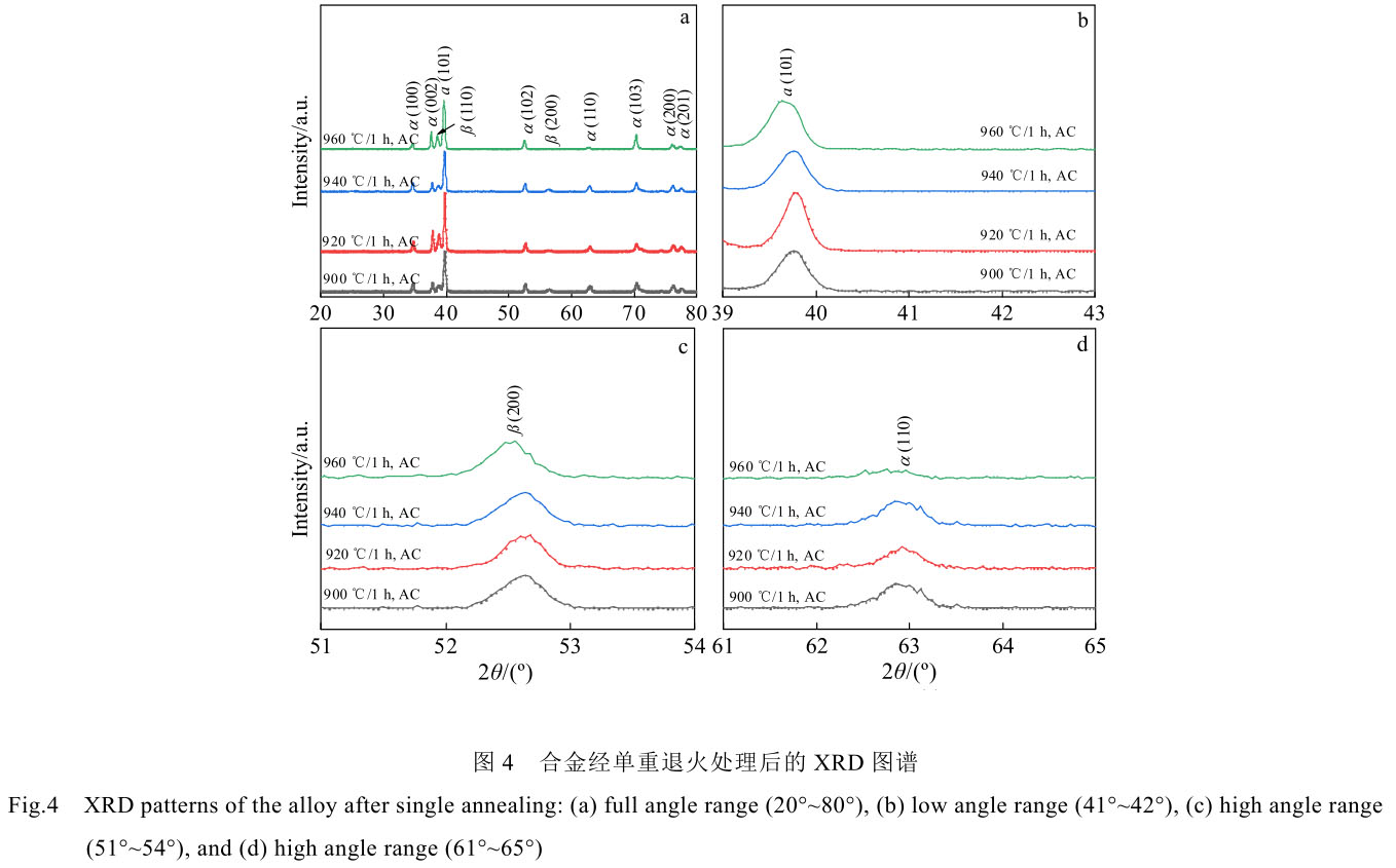 1708444135437851.jpg t4.jpg