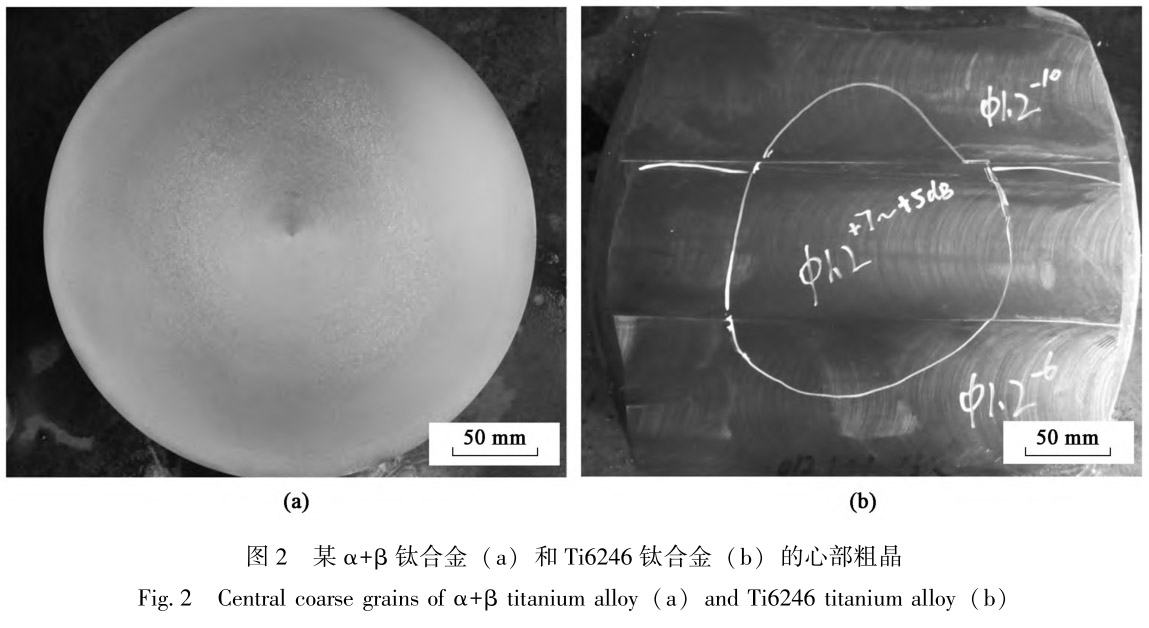 1712454517627996.jpg t2.jpg