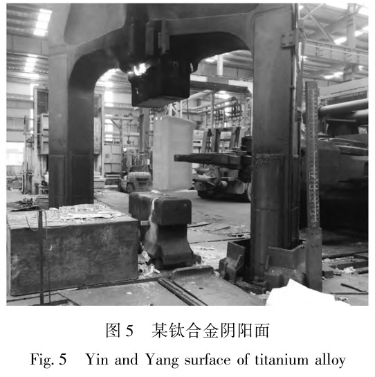 1712454542676214.jpg t5.jpg