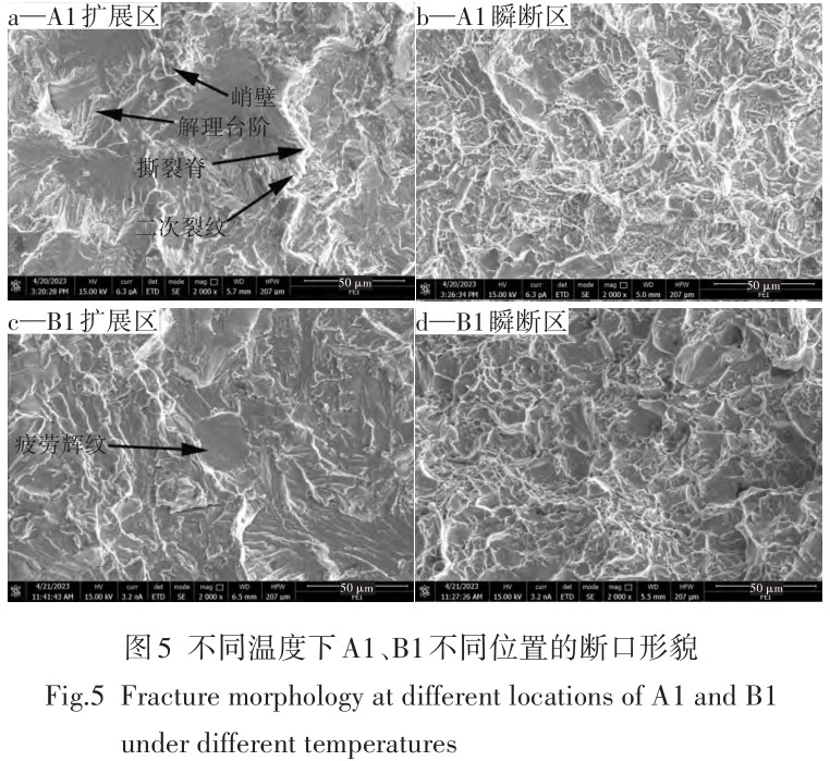 1713950914987544.jpg t5.jpg