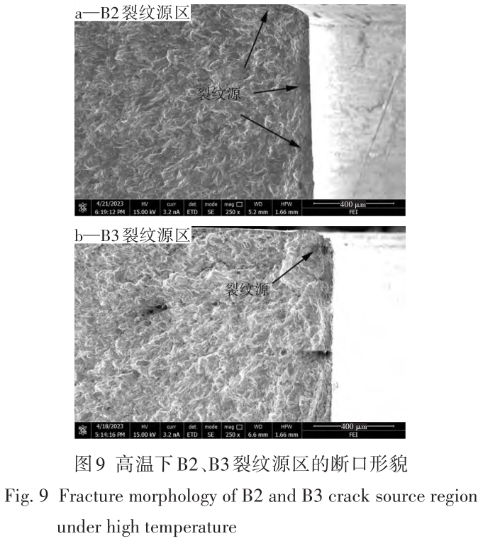 1713950948864120.jpg t9.jpg