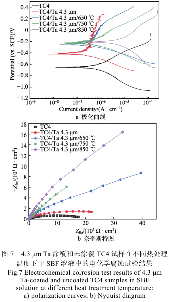 1715508202288362.jpg t7.jpg