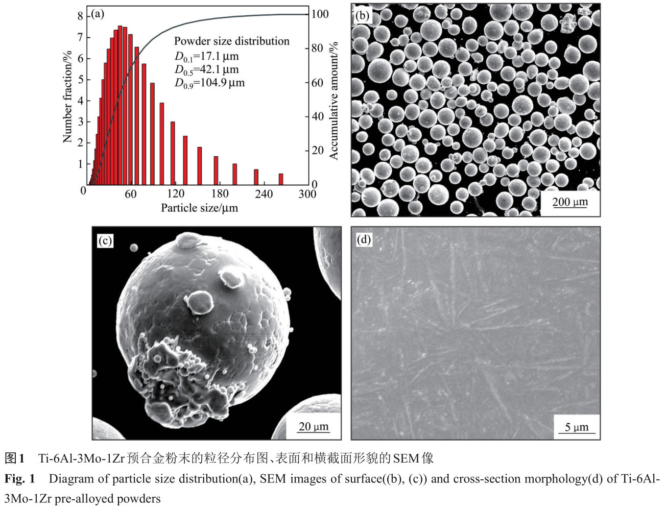 1723726117641836.jpg t1.jpg