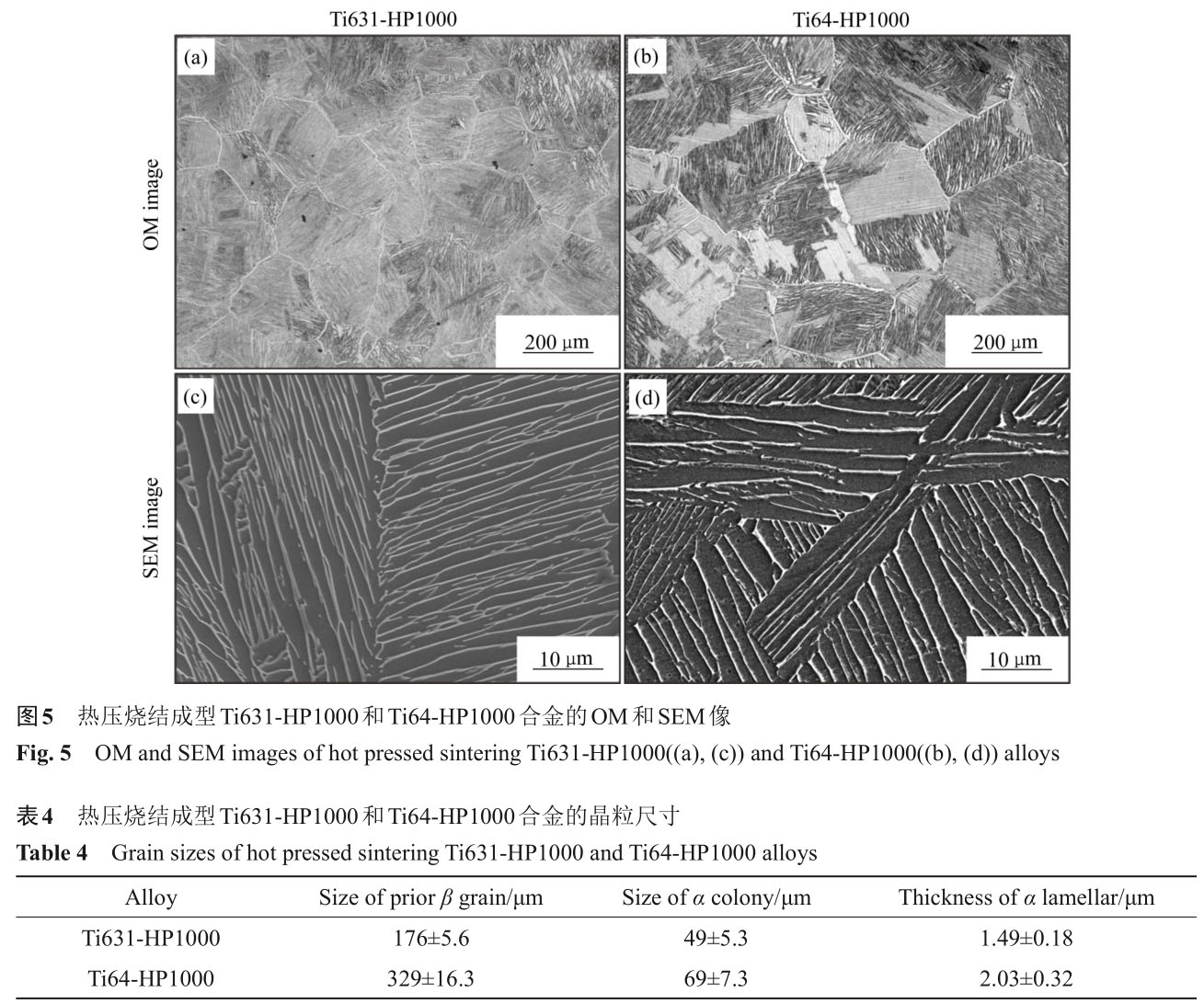 1723726596795756.jpg t5-b4.jpg