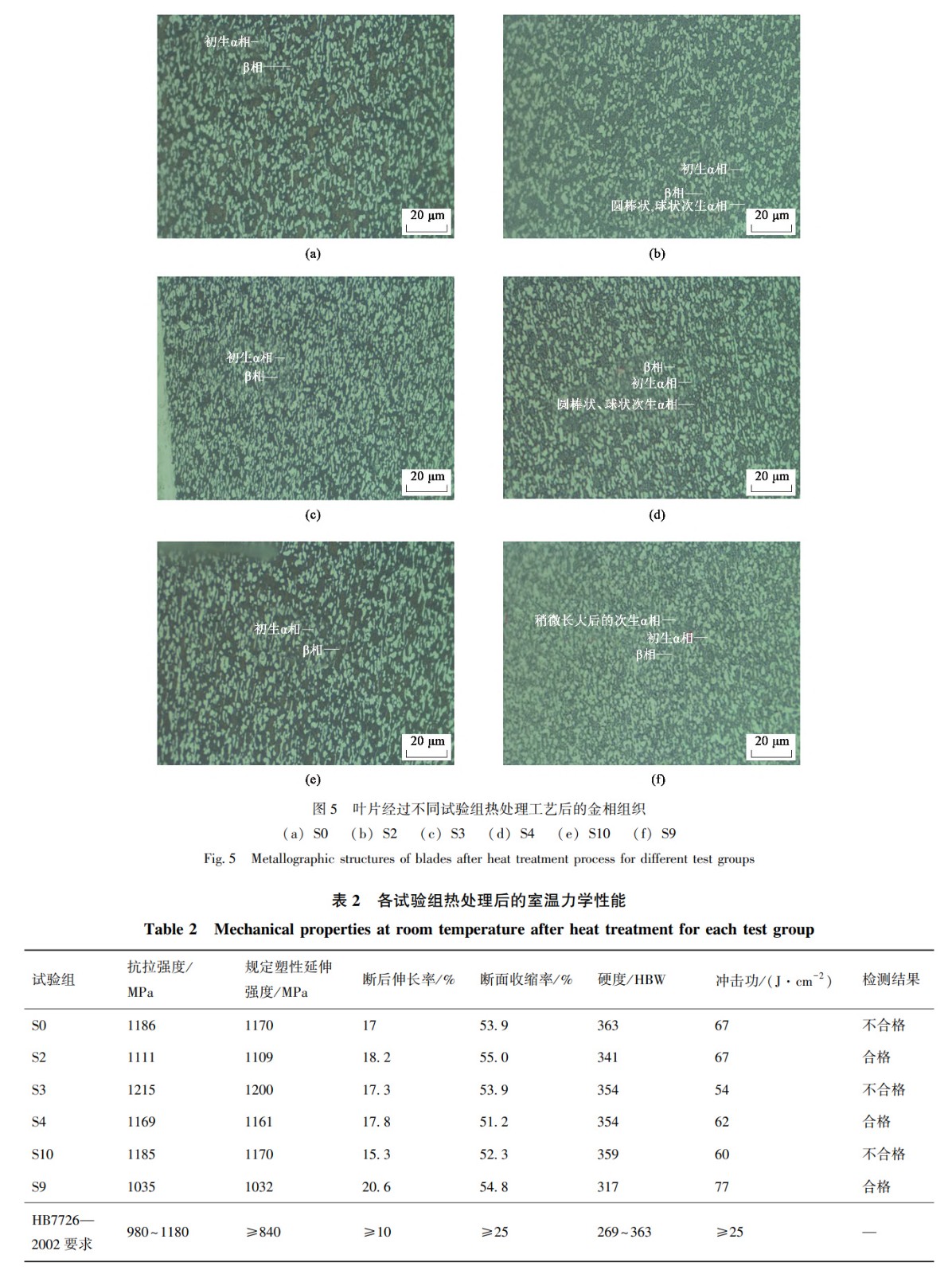 1735183729341967.jpg 5-b2.jpg