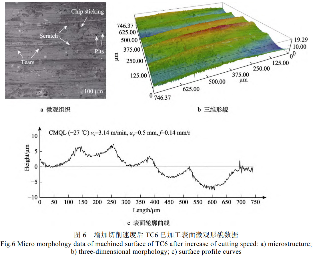 1739714361481962.jpg 6.jpg