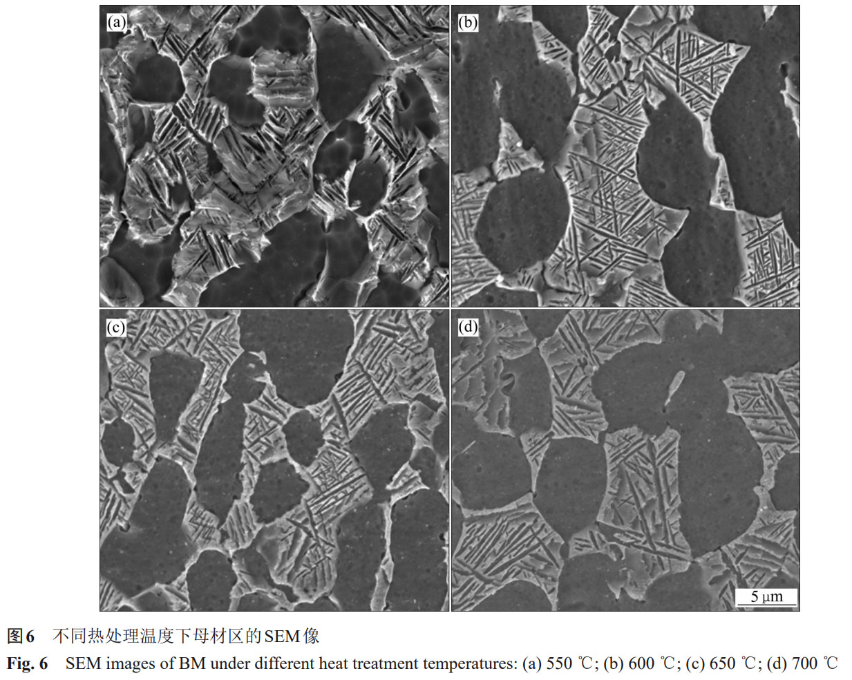 1758633537851854.jpg 未標題-5.jpg
