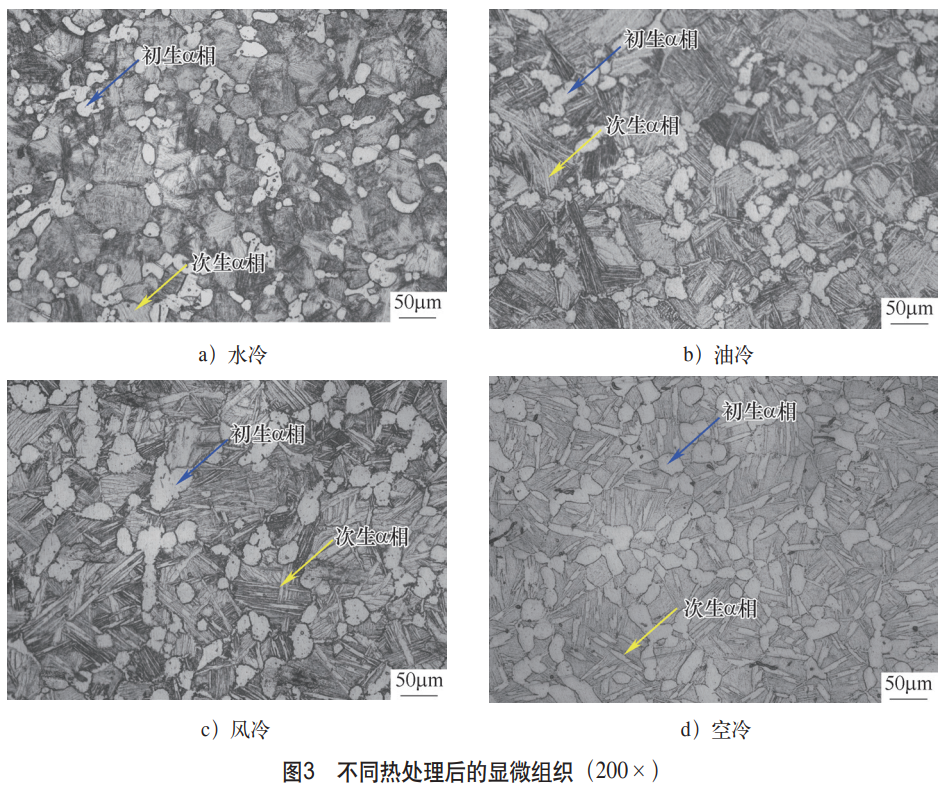 1758677546300574.png 截圖20250924093105.png