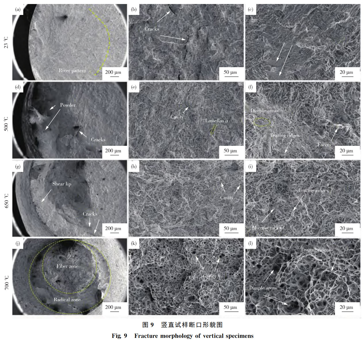 1762347893769336.jpg 未標(biāo)題-4.jpg