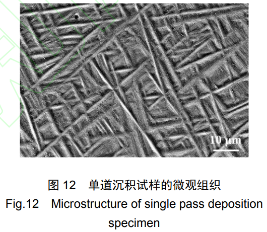 1764041065114911.png 12.png