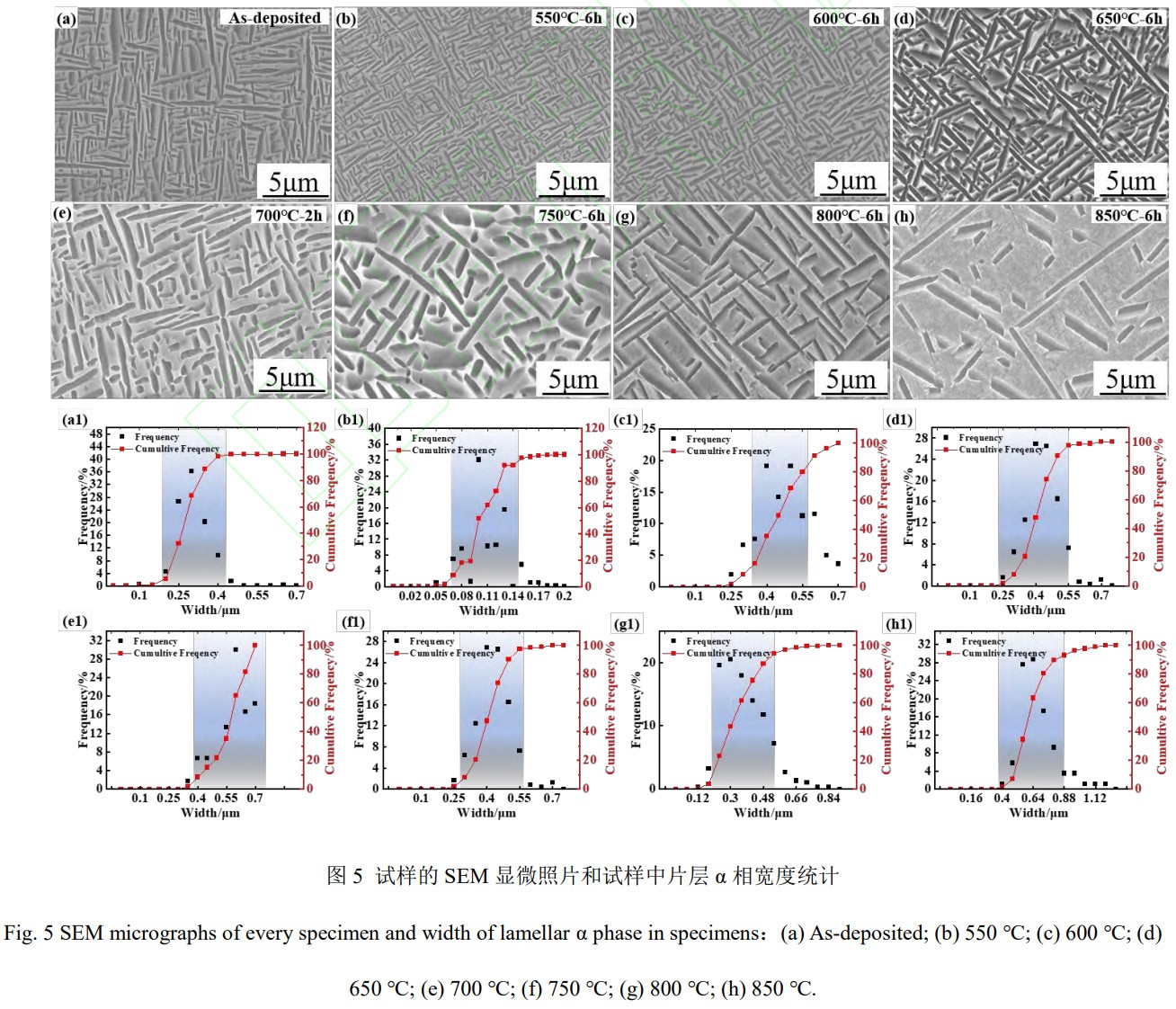 1765855614583844.jpg 5.jpg