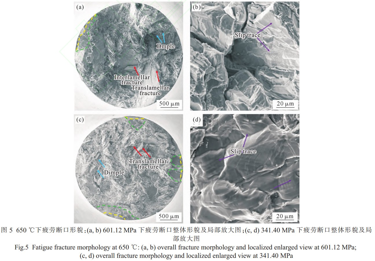 1766305340268982.jpg 未標(biāo)題-1.jpg