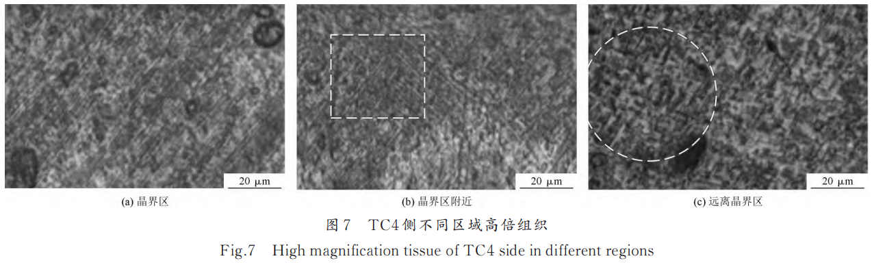 1766822943749826.png 截圖20251227160653.png